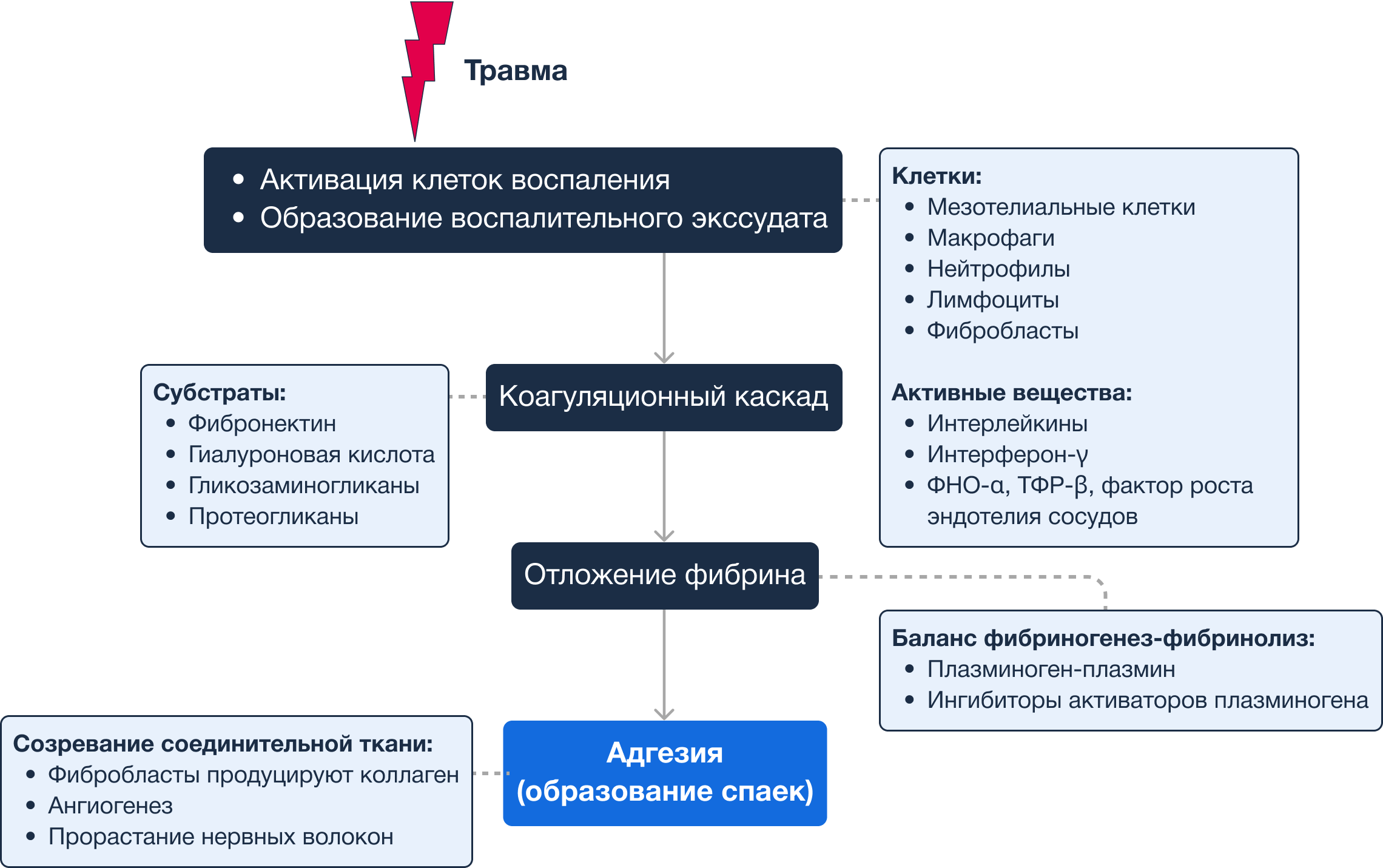 База знаний | Спаечная болезнь брюшной полости и малого таза