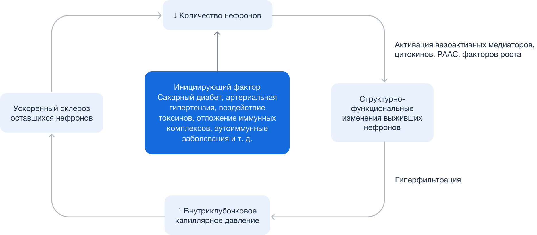 Схема лечения баланопостита у мужчин. Головная боль при гипертонии патогенез. Renoparenchimal Hypertension pathogenesis.