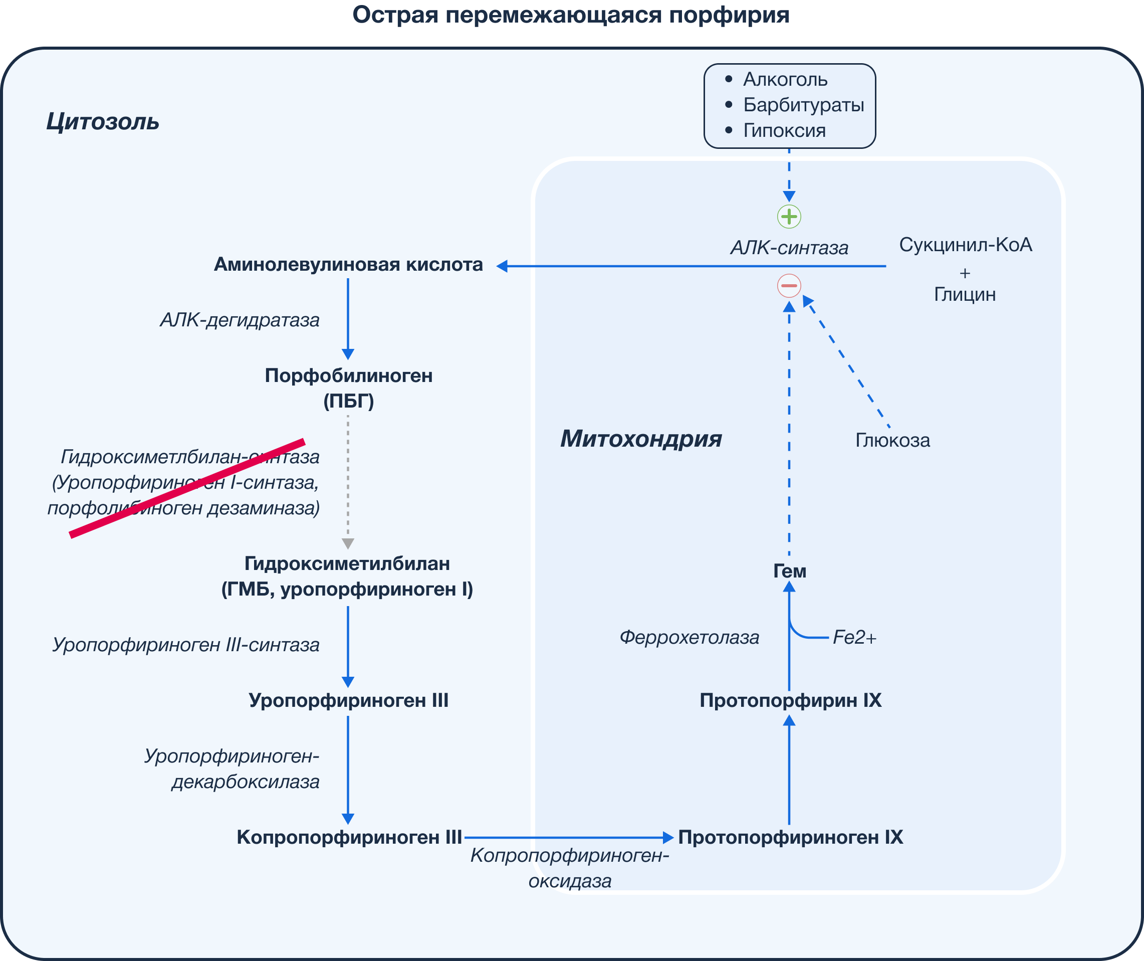 Поздняя кожная порфирия | Уфимцева М.А., Канева Е.В., Худорожкова Н.П. | «РМЖ» №10 от 