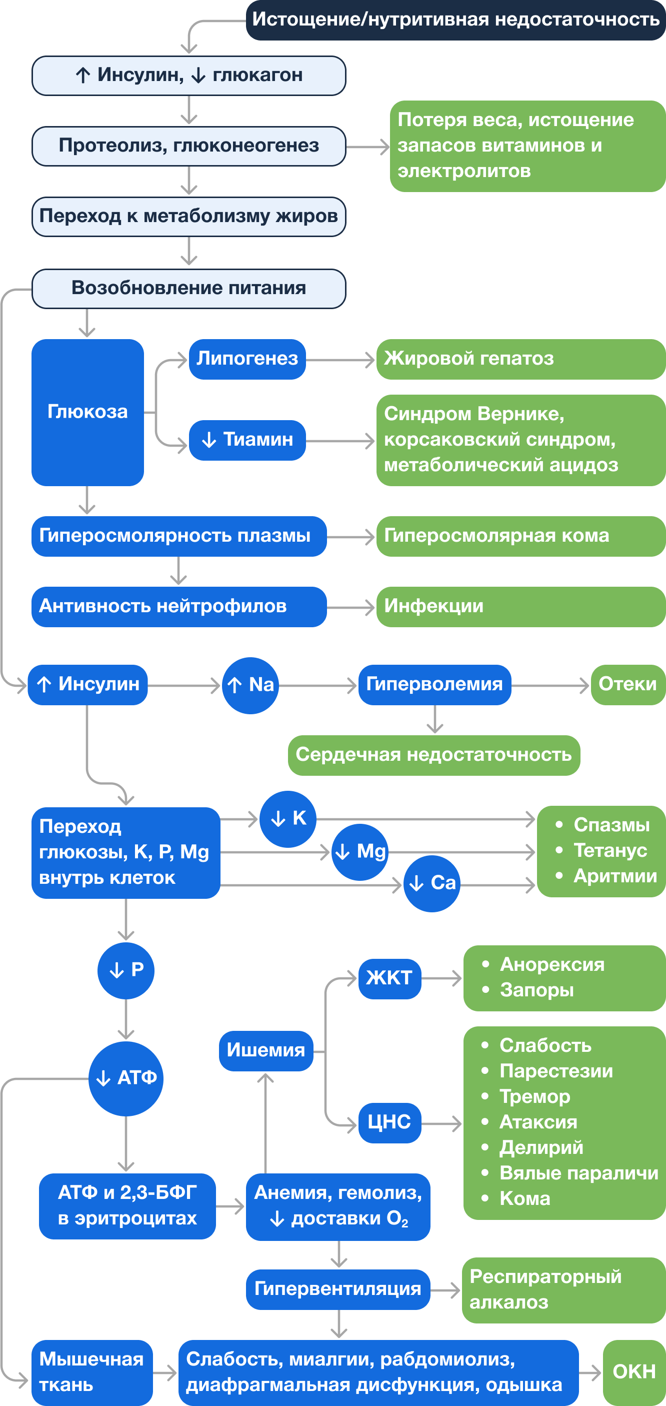 База знаний | Рефидинг-синдром